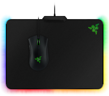 mouse