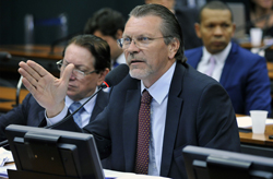 Hamm: é necessário aprofundar pesquisas específicas para o setor.