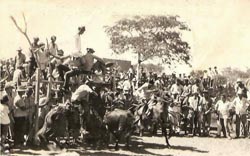 vaquejada temporario