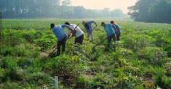 Relação do grupo com a agricultura vai muito além dos valores econômicos.