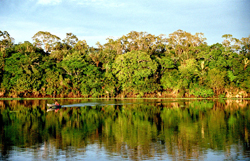 1280px-Amazonia temporario