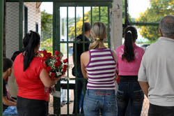 Senadores temproario