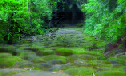 pasta 2016-07-07-17-31-18 577e91e646822 temporario