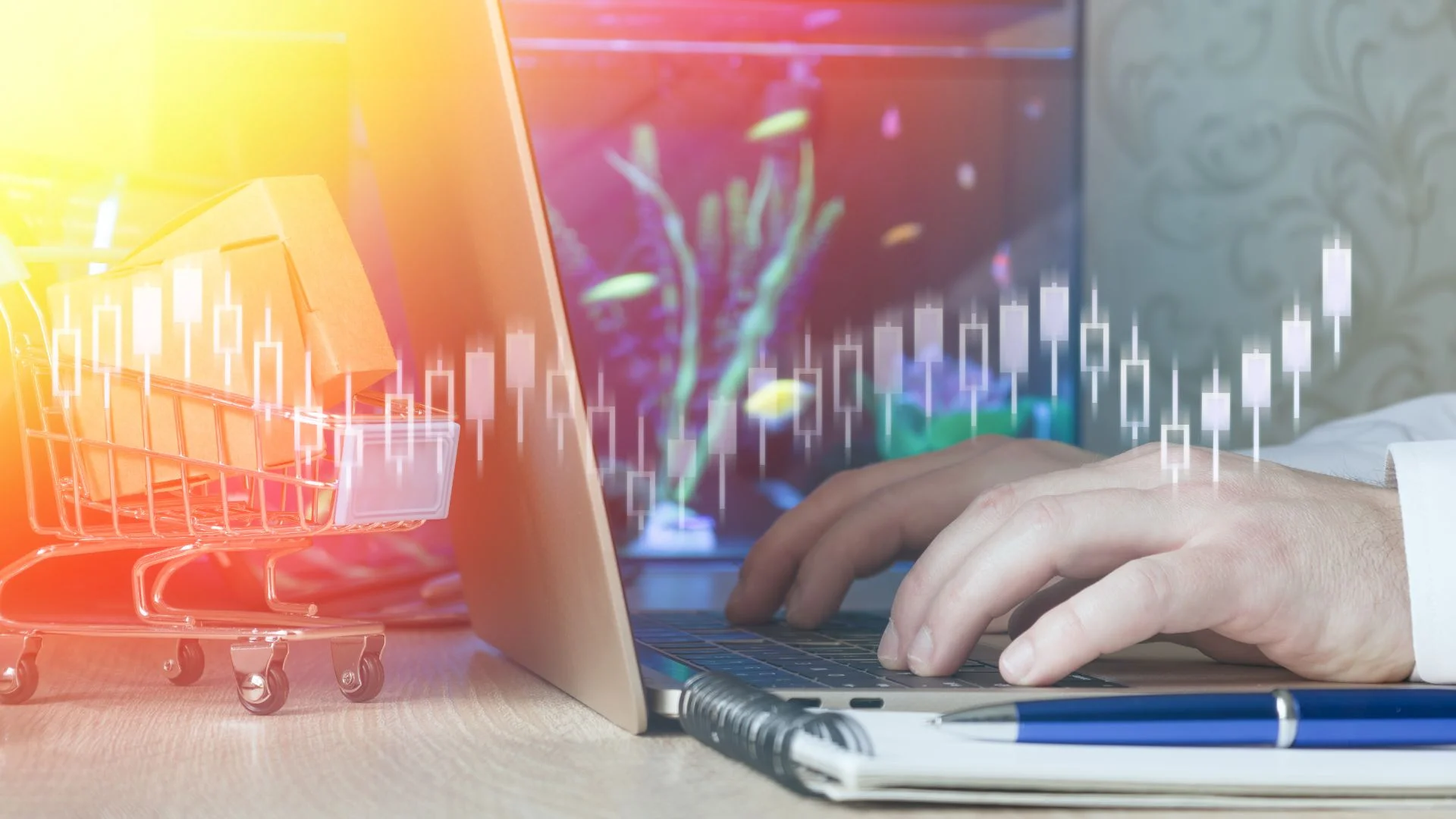 Jornal Empresas & Negócios