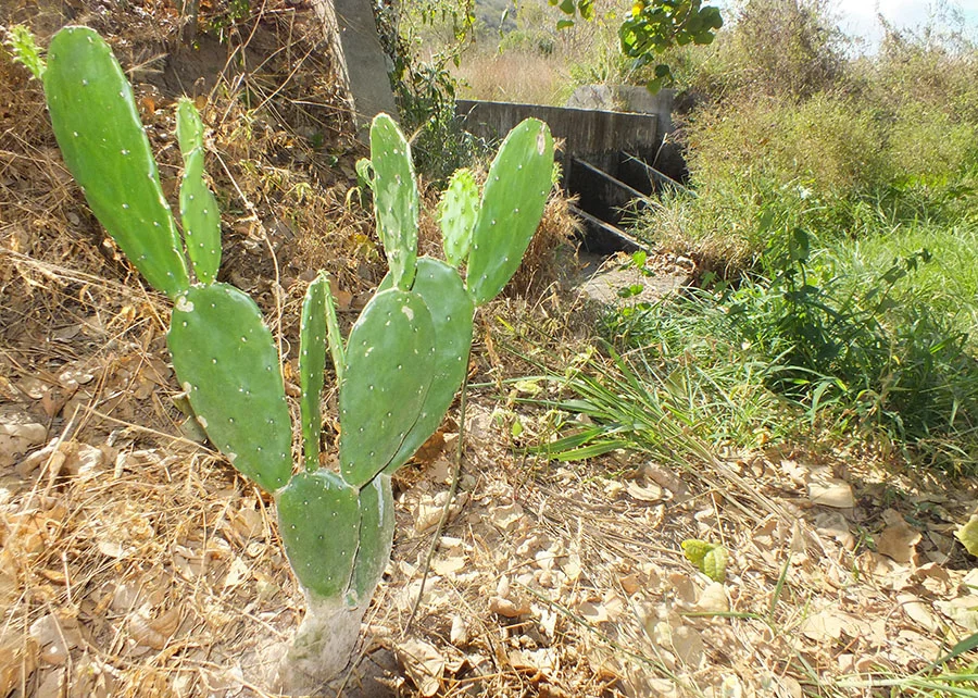 Jornal Empresas & Negócios