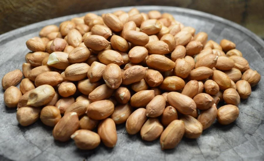 Jornal Empresas & Negócios