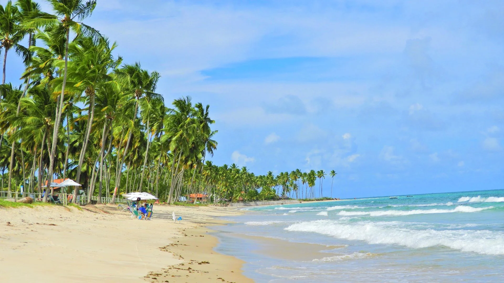 Jornal Empresas & Negócios