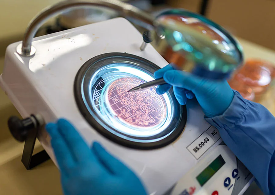 Jornal Empresas & Negócios