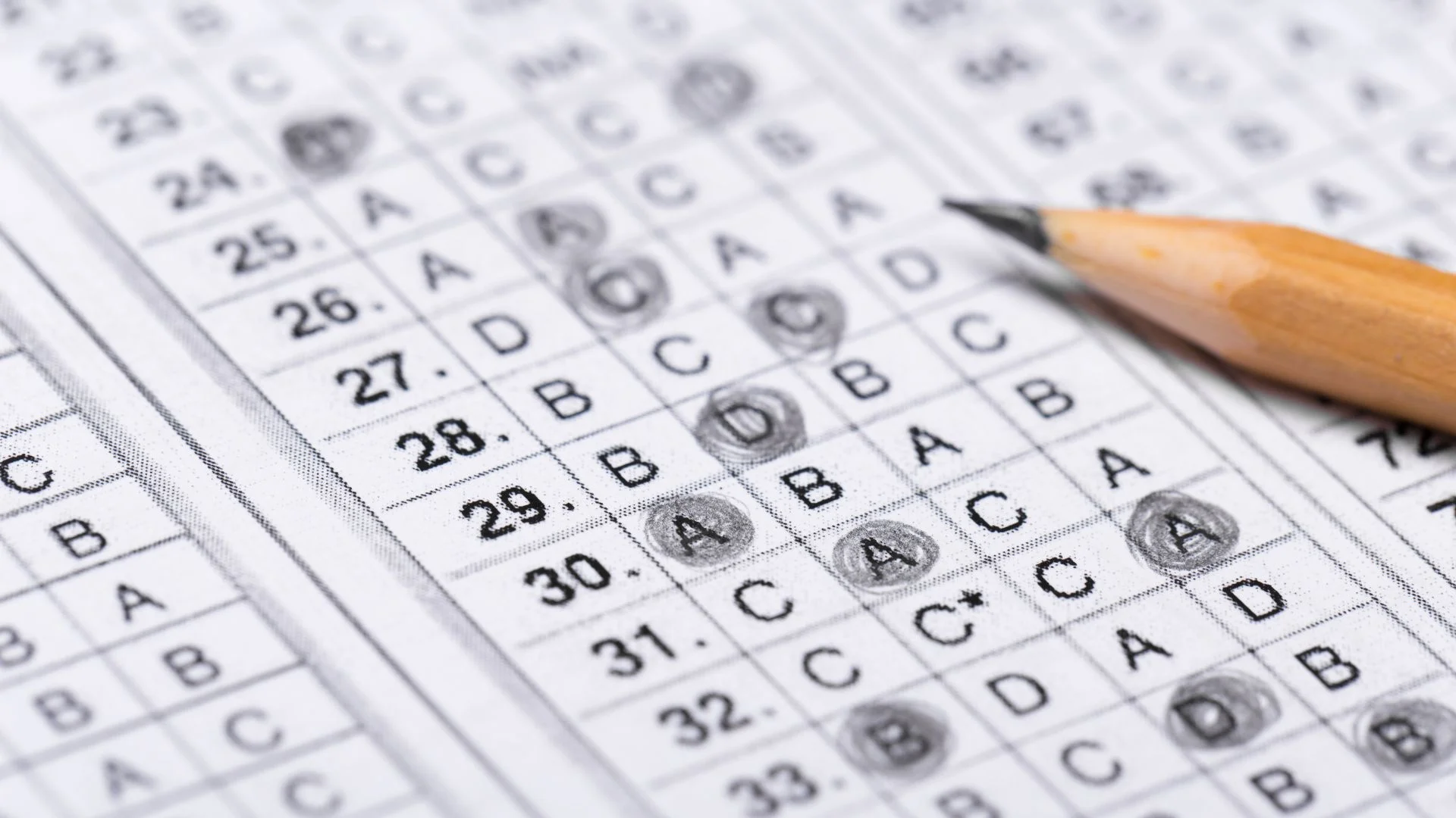 Jornal Empresas & Negócios