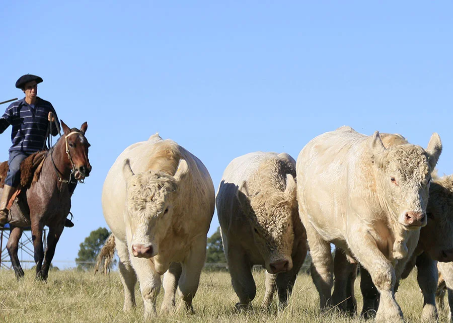 Jornal Empresas & Negócios