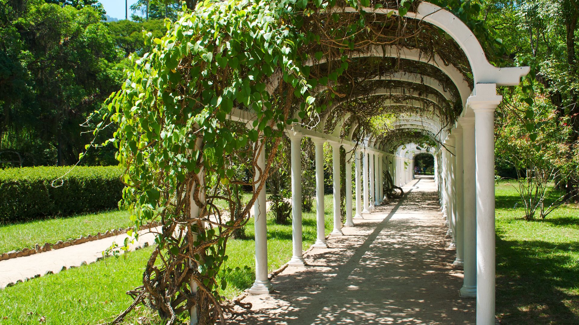 Jornal Empresas & Negócios