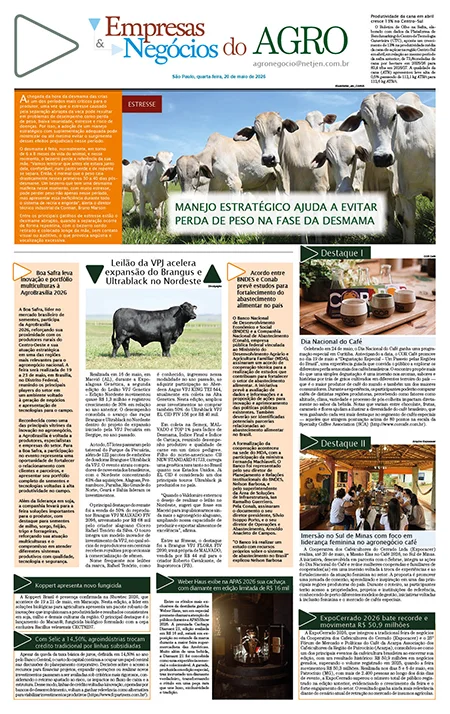 Jornal Empresas & Negócios