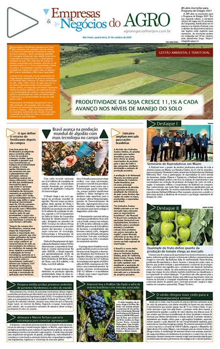 Jornal Empresas & Negócios