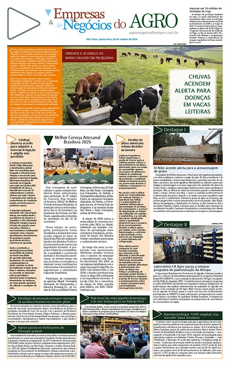 Jornal Empresas & Negócios